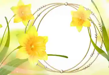 श्रेणी से फ़ोटो प्रभाव महिलाओं के फोटो फ्रेम № 105478