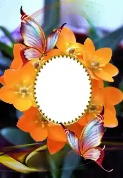 श्रेणी से फ़ोटो प्रभाव महिलाओं के फोटो फ्रेम № 105575