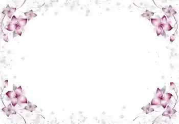 श्रेणी से फ़ोटो प्रभाव महिलाओं के फोटो फ्रेम № 105650