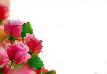 श्रेणी से फ़ोटो प्रभाव महिलाओं के फोटो फ्रेम № 112139