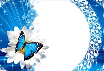 श्रेणी से फ़ोटो प्रभाव महिलाओं के फोटो फ्रेम № 112249