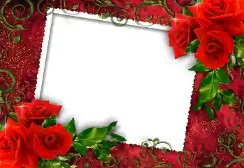 श्रेणी से फ़ोटो प्रभाव महिलाओं के फोटो फ्रेम № 112252