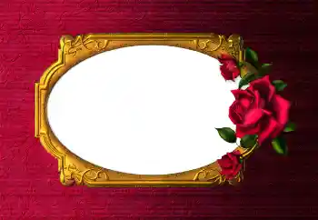 श्रेणी से फ़ोटो प्रभाव महिलाओं के फोटो फ्रेम № 112254