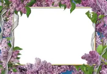 श्रेणी से फ़ोटो प्रभाव महिलाओं के फोटो फ्रेम № 112261