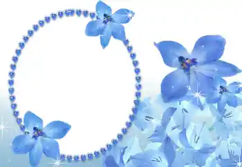 श्रेणी से फ़ोटो प्रभाव महिलाओं के फोटो फ्रेम № 112332