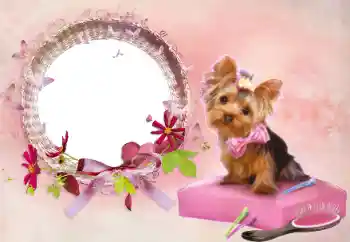 श्रेणी से फ़ोटो प्रभाव महिलाओं के फोटो फ्रेम № 112337