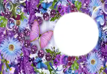 श्रेणी से फ़ोटो प्रभाव महिलाओं के फोटो फ्रेम № 112431