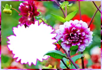 श्रेणी से फ़ोटो प्रभाव महिलाओं के फोटो फ्रेम № 112519