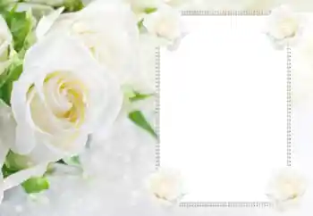 श्रेणी से फ़ोटो प्रभाव महिलाओं के फोटो फ्रेम № 112529