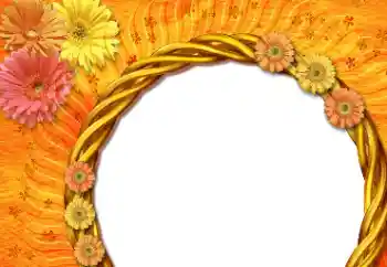 श्रेणी से फ़ोटो प्रभाव महिलाओं के फोटो फ्रेम № 112533