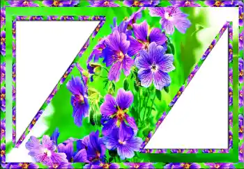 श्रेणी से फ़ोटो प्रभाव महिलाओं के फोटो फ्रेम № 112773