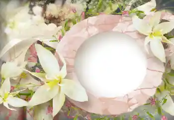 श्रेणी से फ़ोटो प्रभाव महिलाओं के फोटो फ्रेम № 114219