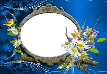 श्रेणी से फ़ोटो प्रभाव महिलाओं के फोटो फ्रेम № 114227