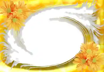 श्रेणी से फ़ोटो प्रभाव महिलाओं के फोटो फ्रेम № 114234