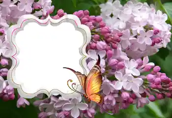 श्रेणी से फ़ोटो प्रभाव महिलाओं के फोटो फ्रेम № 114264