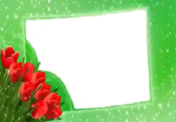 श्रेणी से फ़ोटो प्रभाव महिलाओं के फोटो फ्रेम № 114275