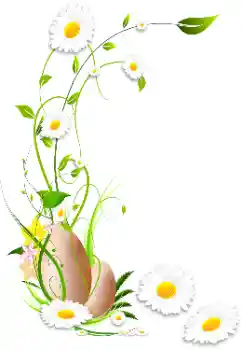 श्रेणी से फ़ोटो प्रभाव महिलाओं के फोटो फ्रेम № 114336