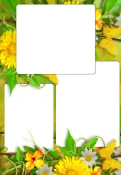 श्रेणी से फ़ोटो प्रभाव महिलाओं के फोटो फ्रेम № 114738