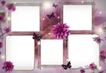 श्रेणी से फ़ोटो प्रभाव महिलाओं के फोटो फ्रेम № 116128