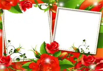 श्रेणी से फ़ोटो प्रभाव महिलाओं के फोटो फ्रेम № 117365