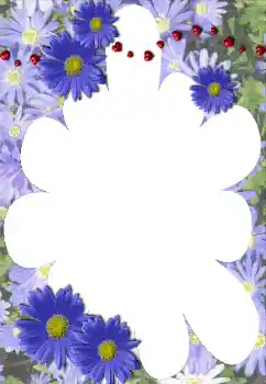 श्रेणी से फ़ोटो प्रभाव महिलाओं के फोटो फ्रेम № 117528