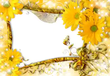 श्रेणी से फ़ोटो प्रभाव महिलाओं के फोटो फ्रेम № 118916