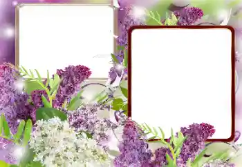 श्रेणी से फ़ोटो प्रभाव महिलाओं के फोटो फ्रेम № 121086