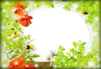 श्रेणी से फ़ोटो प्रभाव महिलाओं के फोटो फ्रेम № 121087