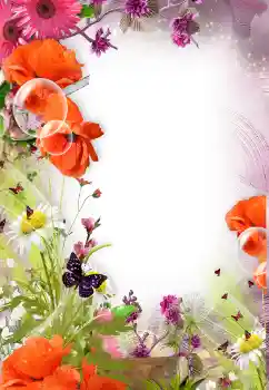 श्रेणी से फ़ोटो प्रभाव महिलाओं के फोटो फ्रेम № 121098