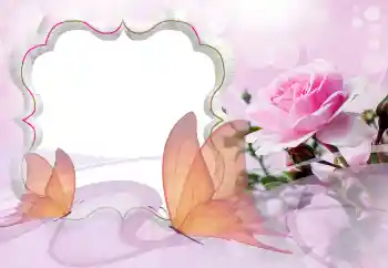 श्रेणी से फ़ोटो प्रभाव महिलाओं के फोटो फ्रेम № 121129