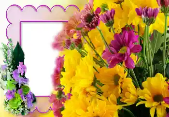 श्रेणी से फ़ोटो प्रभाव महिलाओं के फोटो फ्रेम № 121140