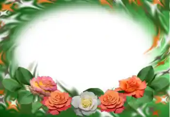 श्रेणी से फ़ोटो प्रभाव महिलाओं के फोटो फ्रेम № 121155