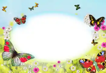 श्रेणी से फ़ोटो प्रभाव महिलाओं के फोटो फ्रेम № 123207