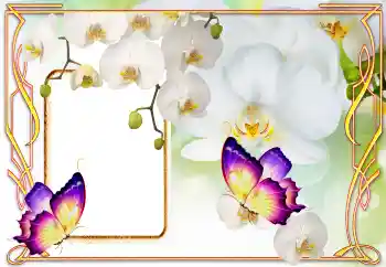 श्रेणी से फ़ोटो प्रभाव महिलाओं के फोटो फ्रेम № 123218