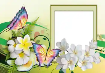 श्रेणी से फ़ोटो प्रभाव महिलाओं के फोटो फ्रेम № 123226