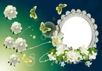 श्रेणी से फ़ोटो प्रभाव महिलाओं के फोटो फ्रेम № 123258