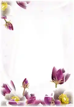 श्रेणी से फ़ोटो प्रभाव महिलाओं के फोटो फ्रेम № 124368