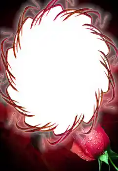 श्रेणी से फ़ोटो प्रभाव महिलाओं के फोटो फ्रेम № 125687