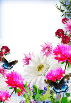 श्रेणी से फ़ोटो प्रभाव महिलाओं के फोटो फ्रेम № 125845