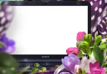 श्रेणी से फ़ोटो प्रभाव महिलाओं के फोटो फ्रेम № 125847