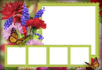 श्रेणी से फ़ोटो प्रभाव महिलाओं के फोटो फ्रेम № 125850