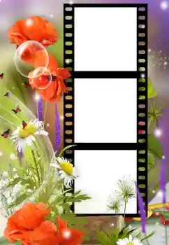 श्रेणी से फ़ोटो प्रभाव महिलाओं के फोटो फ्रेम № 125912