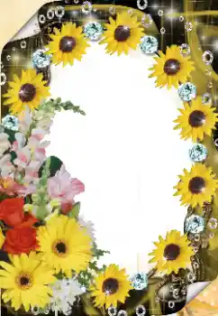 श्रेणी से फ़ोटो प्रभाव महिलाओं के फोटो फ्रेम № 125921