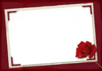 श्रेणी से फ़ोटो प्रभाव महिलाओं के फोटो फ्रेम № 125924