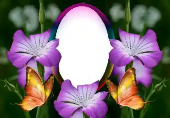 श्रेणी से फ़ोटो प्रभाव महिलाओं के फोटो फ्रेम № 126946