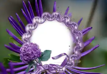 श्रेणी से फ़ोटो प्रभाव महिलाओं के फोटो फ्रेम № 126947