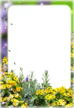 श्रेणी से फ़ोटो प्रभाव महिलाओं के फोटो फ्रेम № 127113