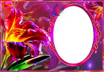 श्रेणी से फ़ोटो प्रभाव महिलाओं के फोटो फ्रेम № 127185