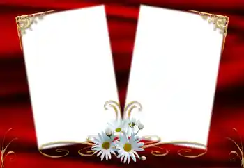 श्रेणी से फ़ोटो प्रभाव महिलाओं के फोटो फ्रेम № 127215