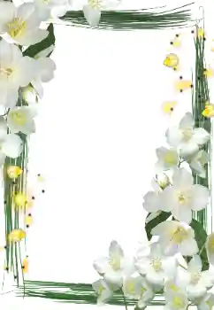 श्रेणी से फ़ोटो प्रभाव महिलाओं के फोटो फ्रेम № 127290